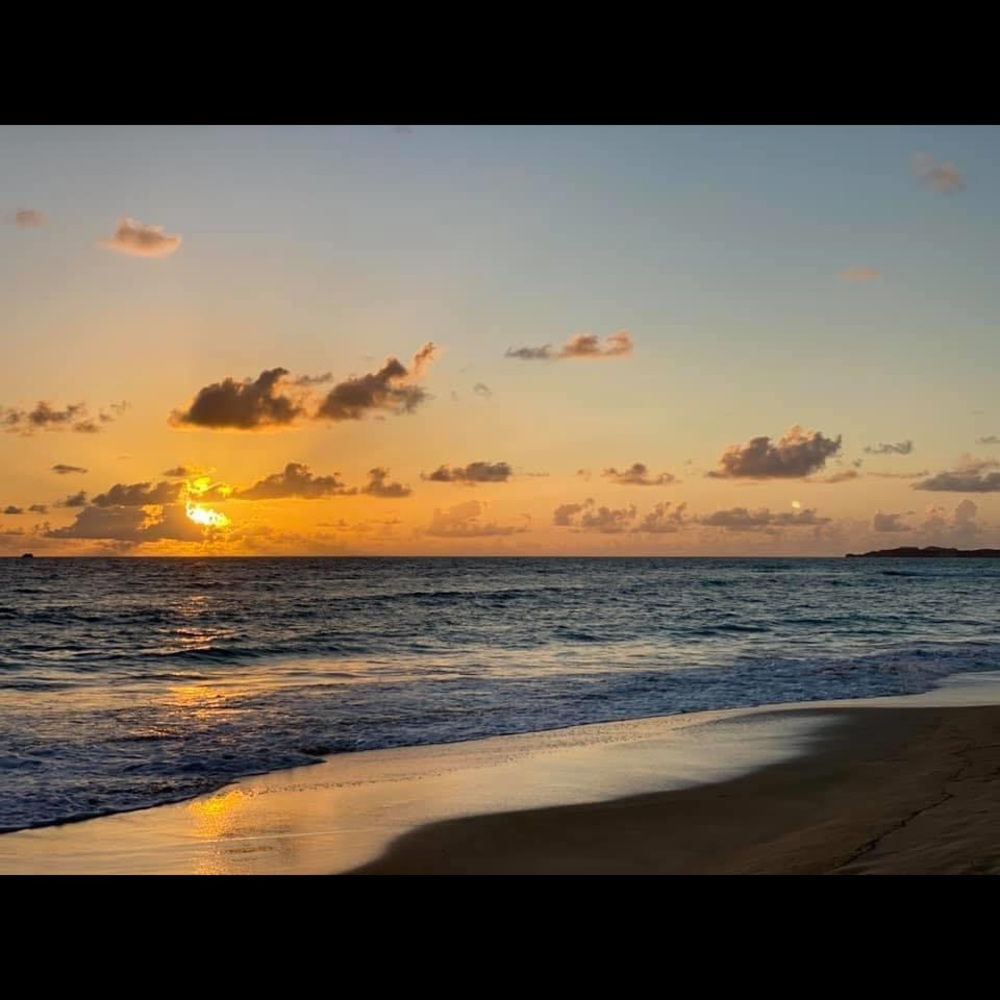 Meet your Posher, Joy